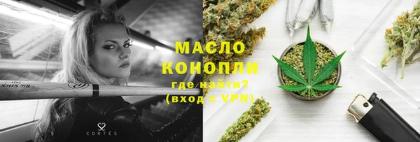 стаф Аркадак