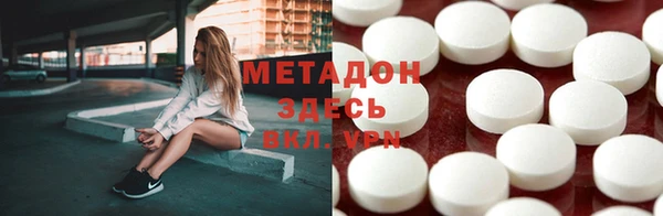 стаф Аркадак