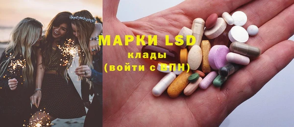 стаф Аркадак