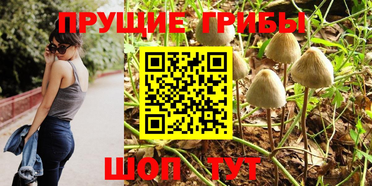 Галлюциногенные грибы мицелий Нарткала